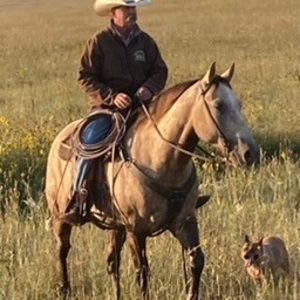 Meet your Posher, Karen